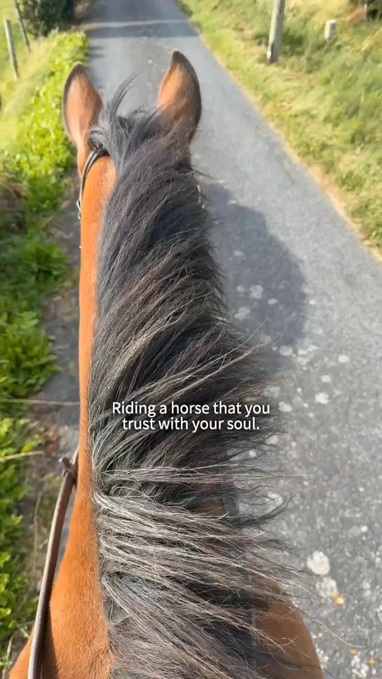 TikTok video thumbnail by equestrian695