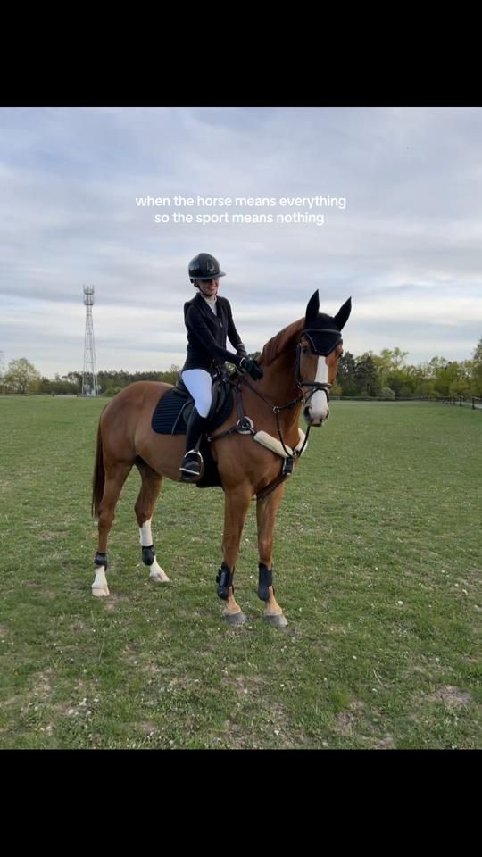 TikTok video thumbnail by nikita.equistrian