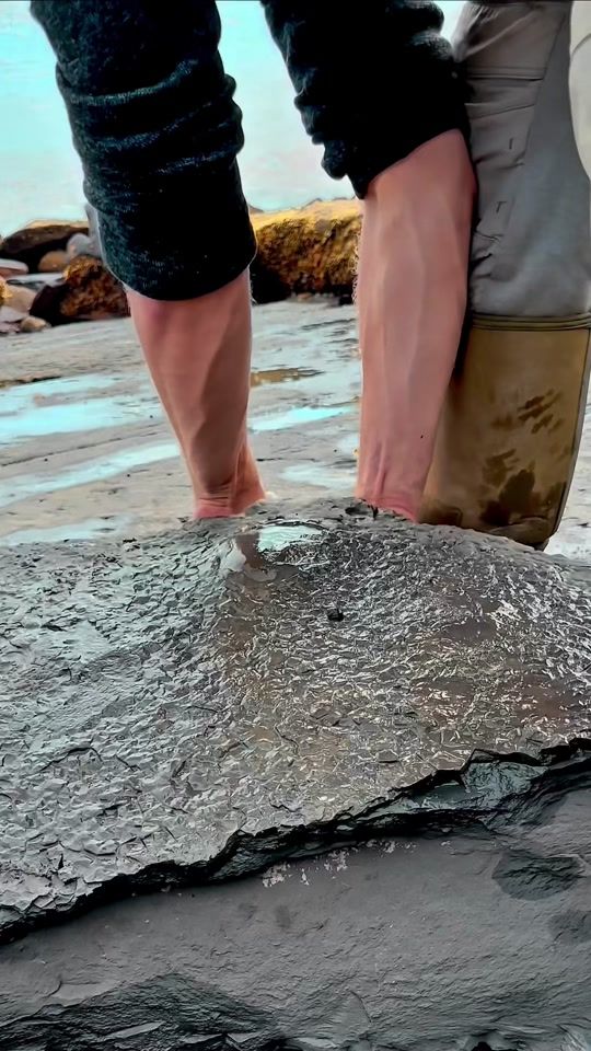 TikTok video thumbnail by yorkshire.fossils