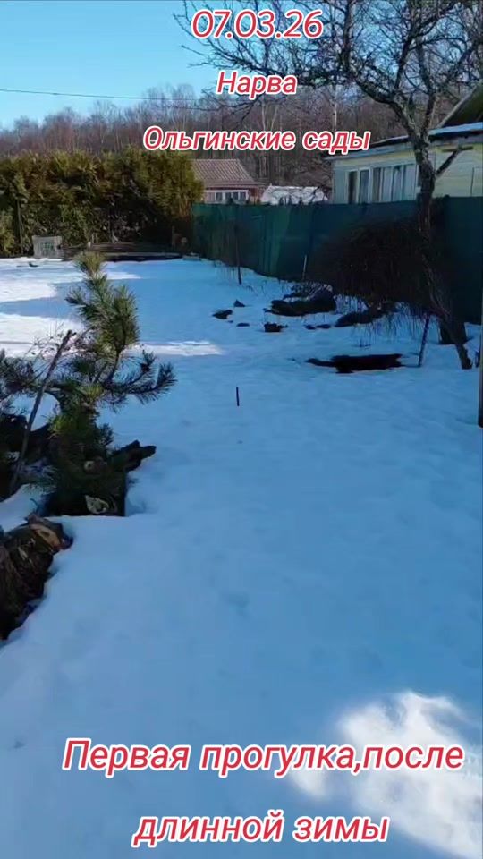 TikTok video thumbnail by mannela30
