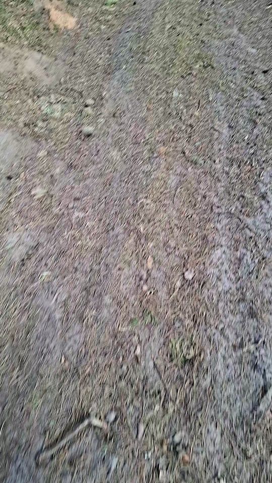 TikTok video thumbnail by alu6ka