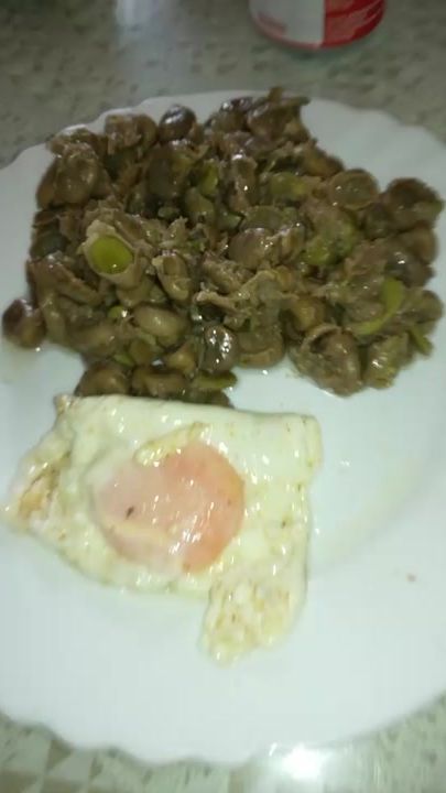 TikTok video thumbnail by elmaestromiami