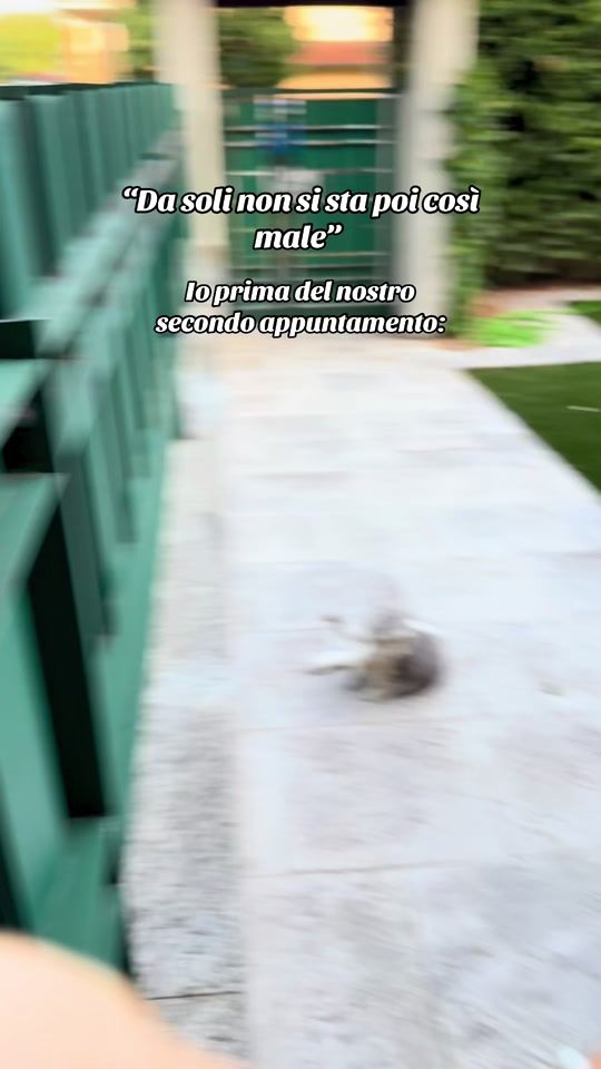 TikTok video thumbnail by giodiniii