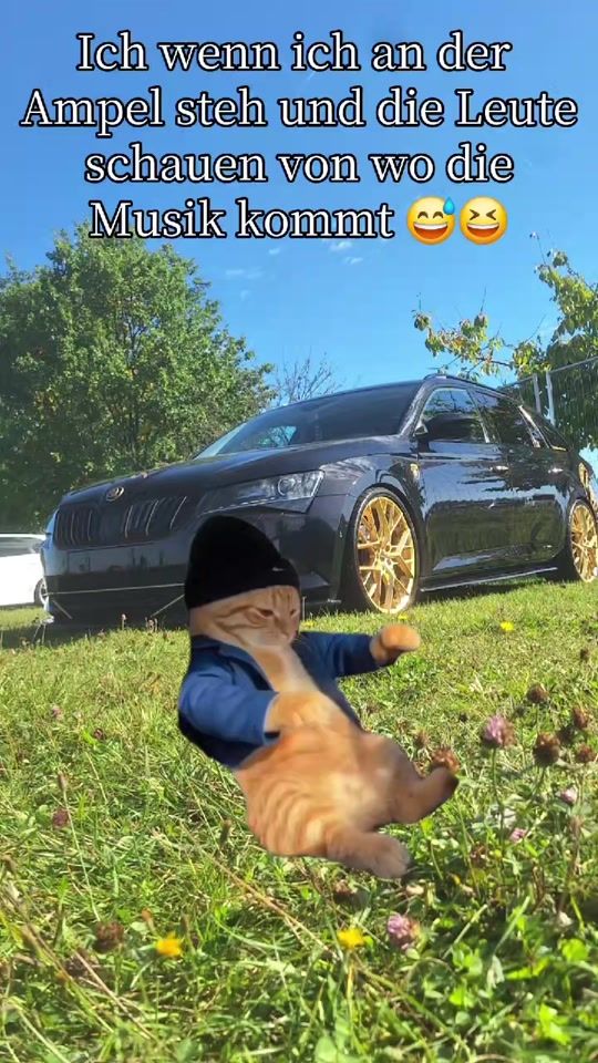 TikTok video thumbnail by lisi_skoda_