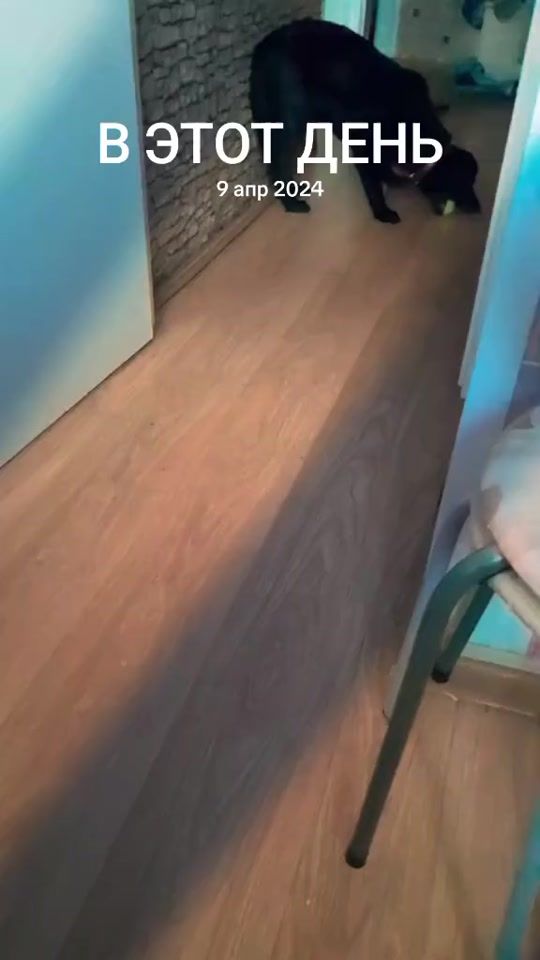 TikTok video thumbnail by iriwe4ka9