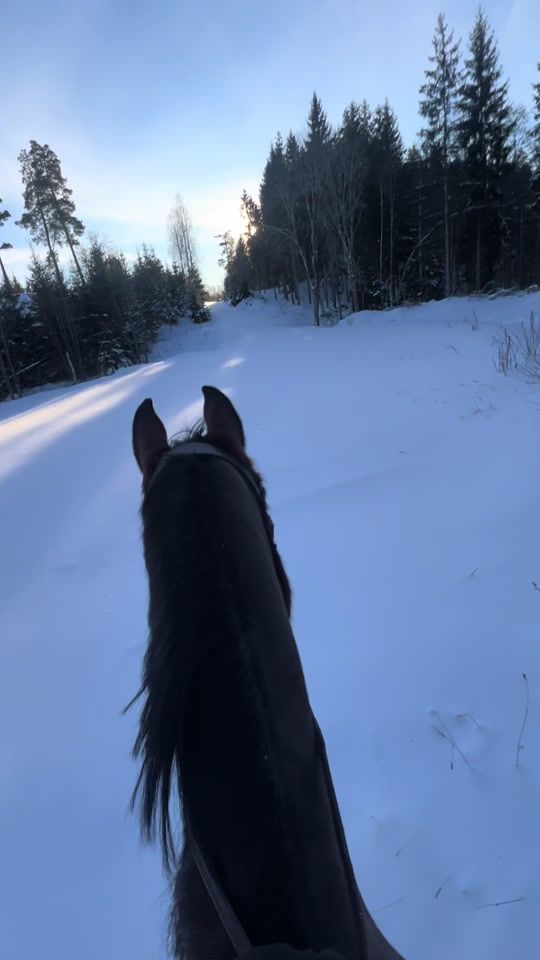 TikTok video thumbnail by equi.tildee