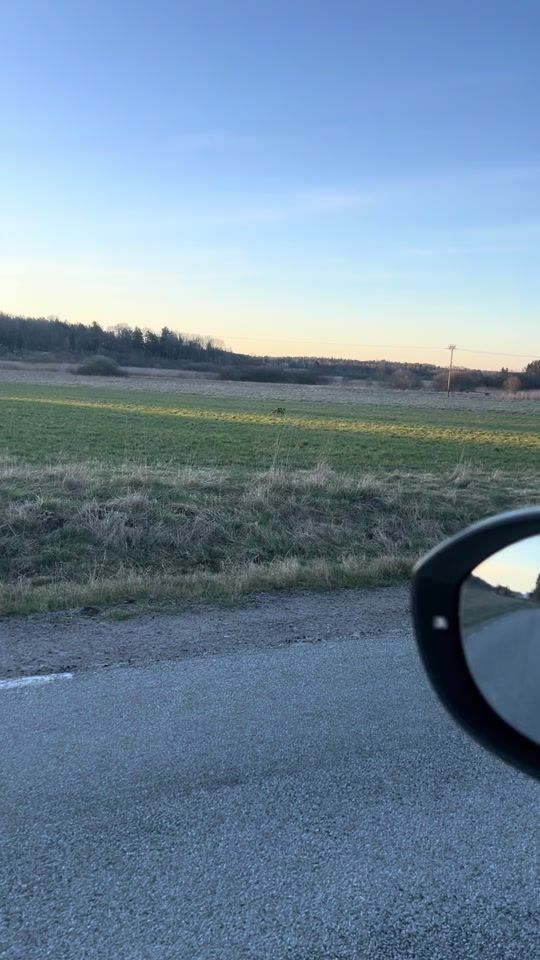 TikTok video thumbnail by andreas_rezaei