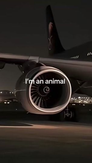 TikTok video thumbnail by chanellover111