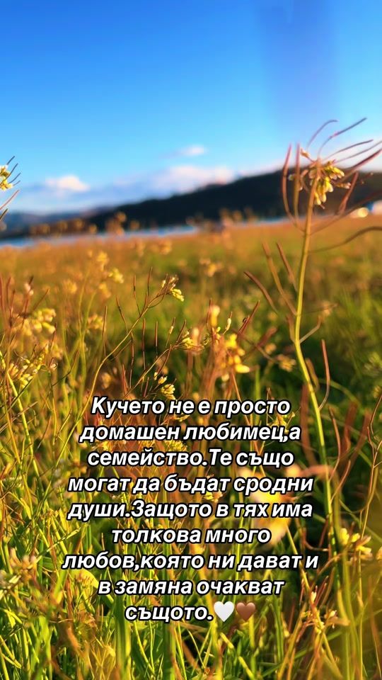 TikTok video thumbnail by user_a.404_