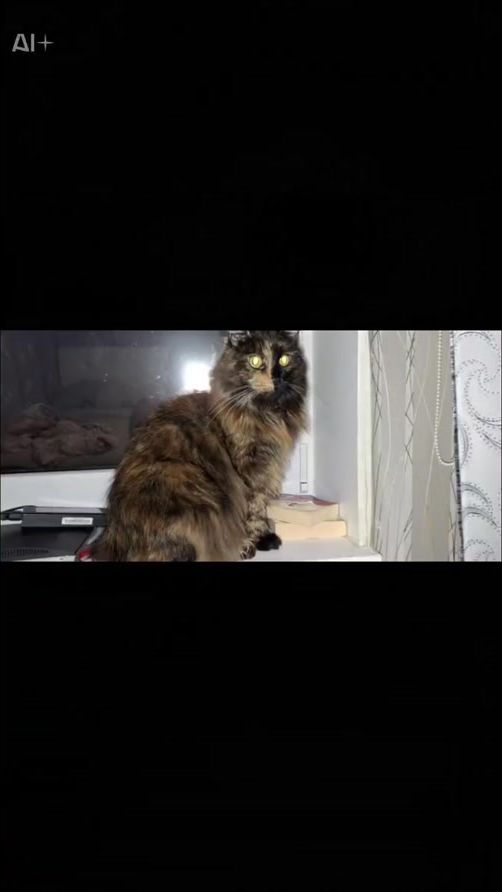TikTok video thumbnail by serjoga.ee