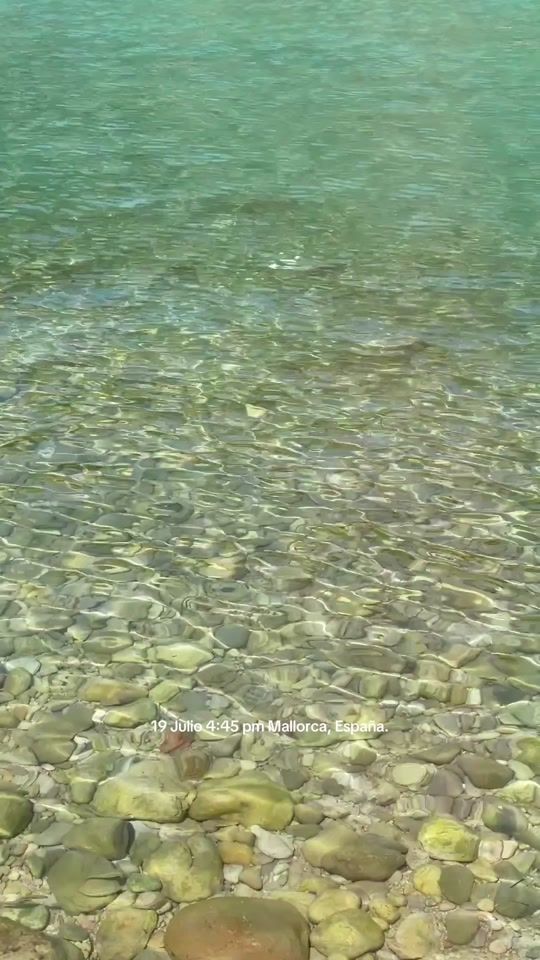 TikTok video thumbnail by afse3vg