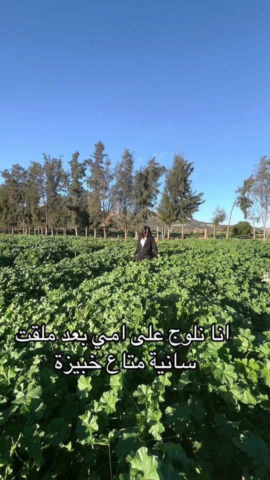 TikTok video thumbnail by mouna_waahbi