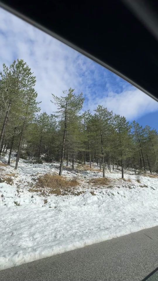 TikTok video thumbnail by ziba.samad