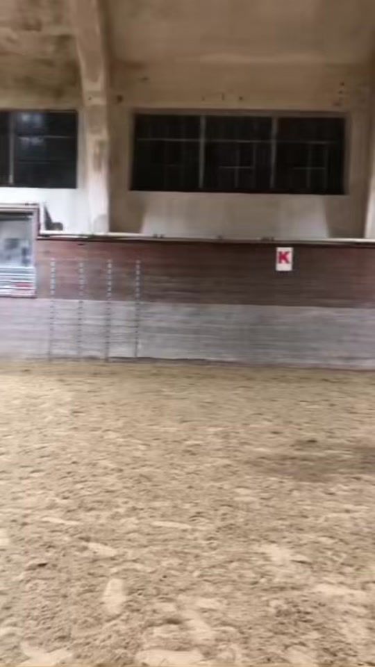 TikTok video thumbnail by emmi_eq1