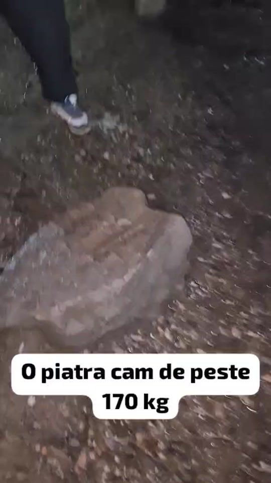 TikTok video thumbnail by marceltalanumanoliu