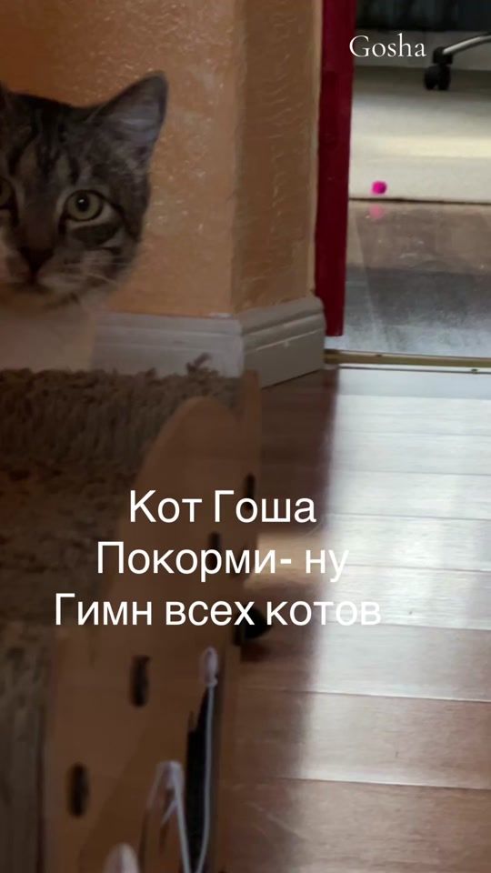 TikTok video thumbnail by jelenanels5