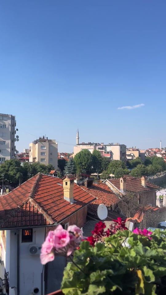 TikTok video thumbnail by zeldalika