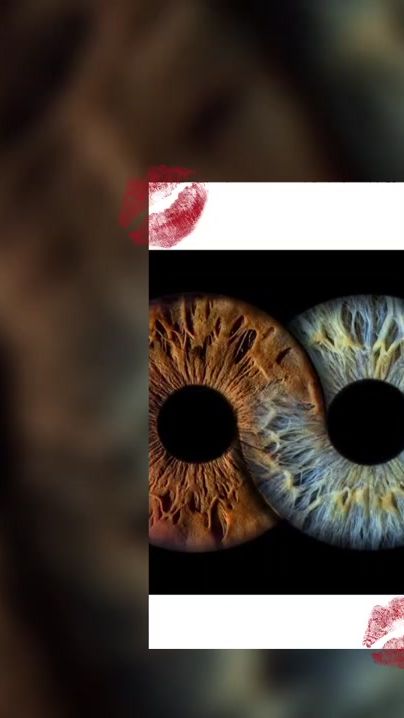 TikTok video thumbnail by kroete007