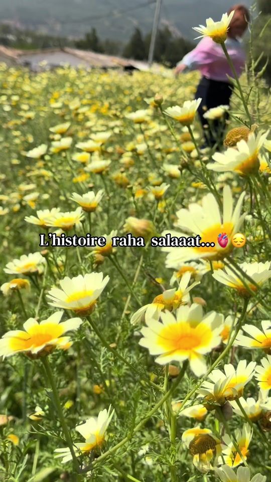 TikTok video thumbnail by widad_dia
