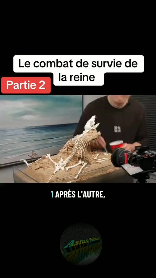 TikTok video thumbnail by astusethistos