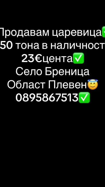 TikTok video thumbnail by preslavtraychev