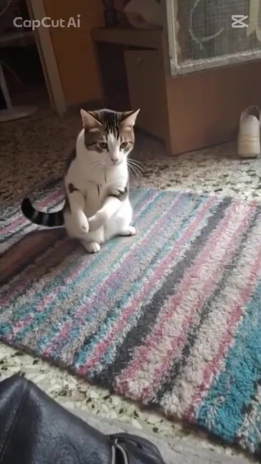 TikTok video thumbnail by eymorfia_1990