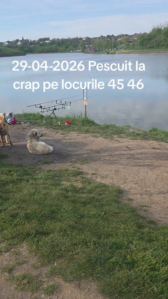 TikTok video thumbnail by balta.fundulea2florin