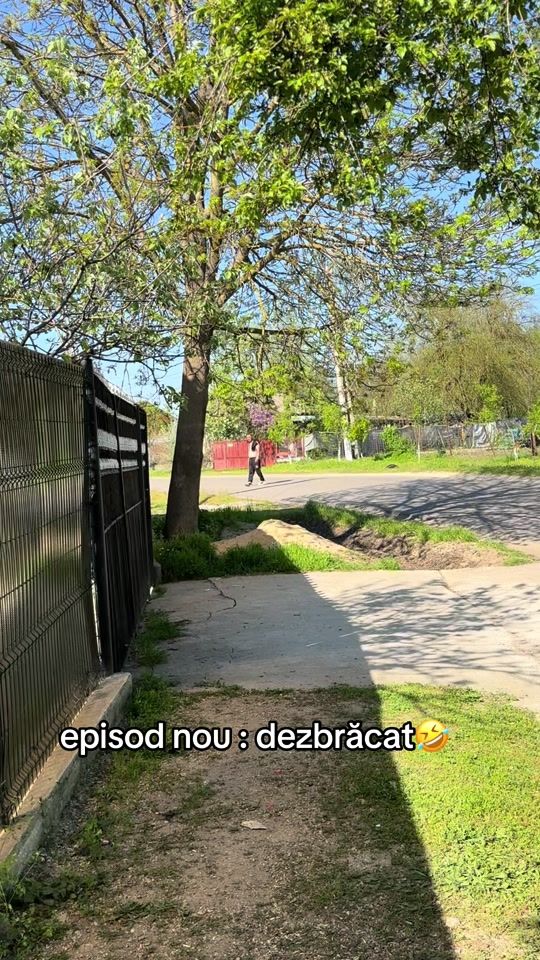 TikTok video thumbnail by orlandogeorgian7