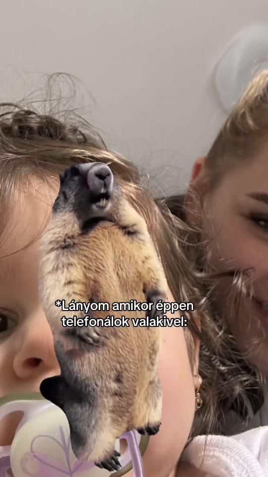 TikTok video thumbnail by jennaborjus