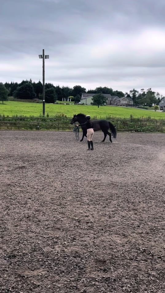 TikTok video thumbnail by manon_sally