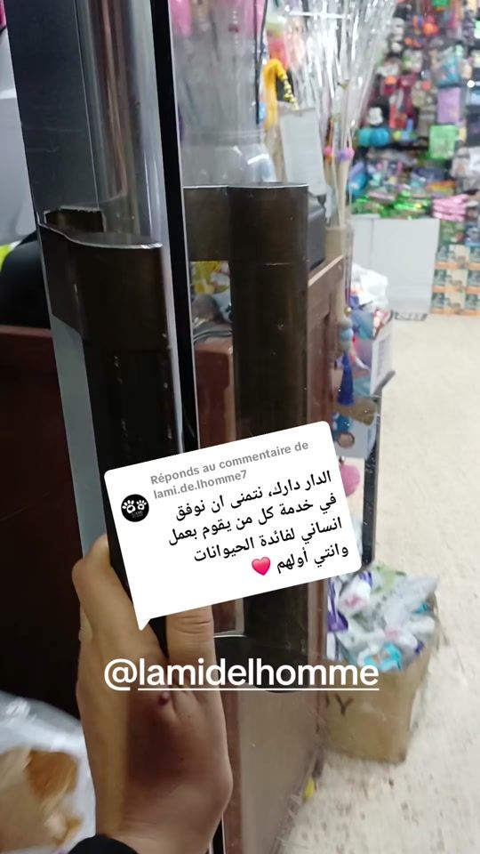 TikTok video thumbnail by felix.taiba