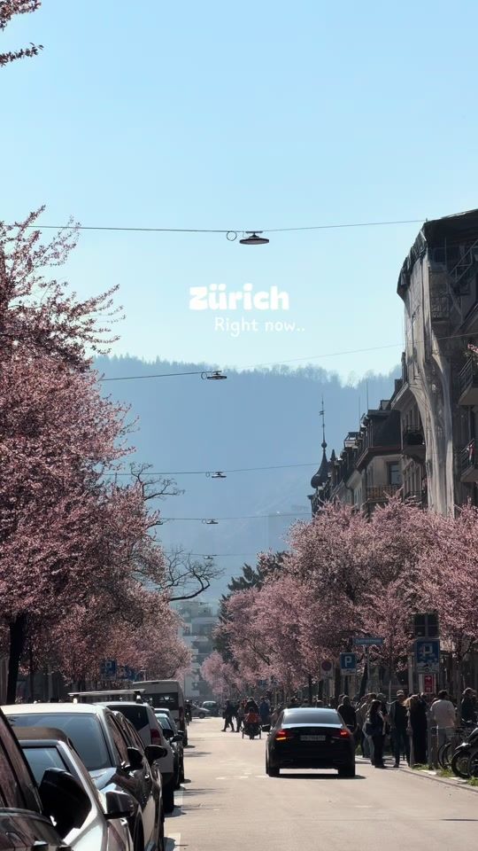 TikTok video thumbnail by jas.decker