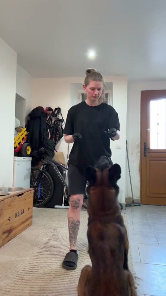 TikTok video thumbnail by hades_dogtraining