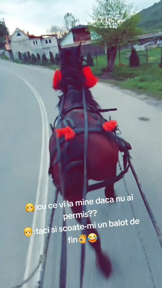 TikTok video thumbnail by paulsuciu24