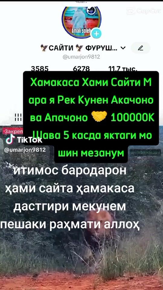 TikTok video thumbnail by umedai_sharif