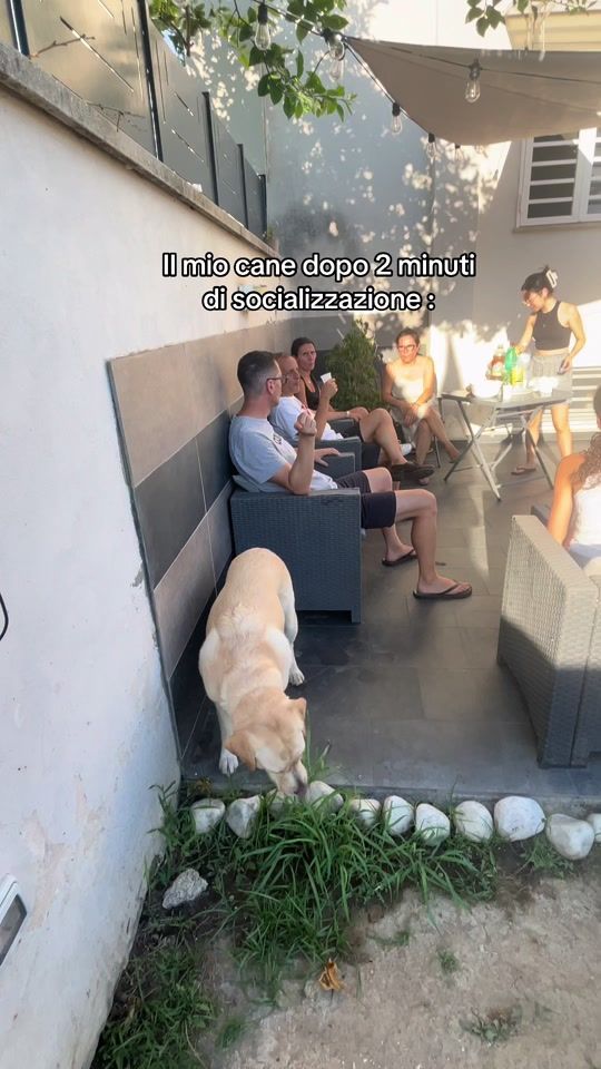 TikTok video thumbnail by benedettadangelo