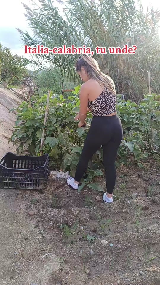 TikTok video thumbnail by geo.geo26mh