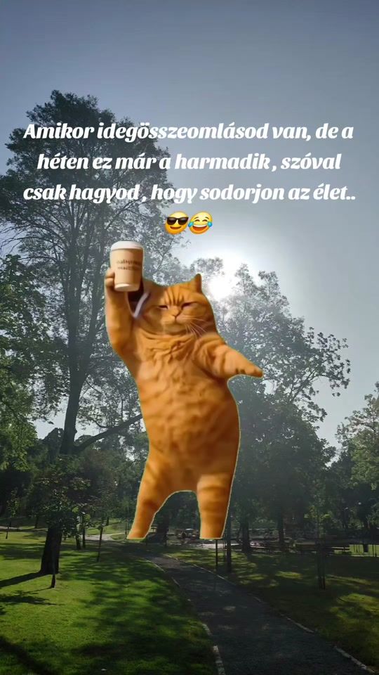 TikTok video thumbnail by diatutor