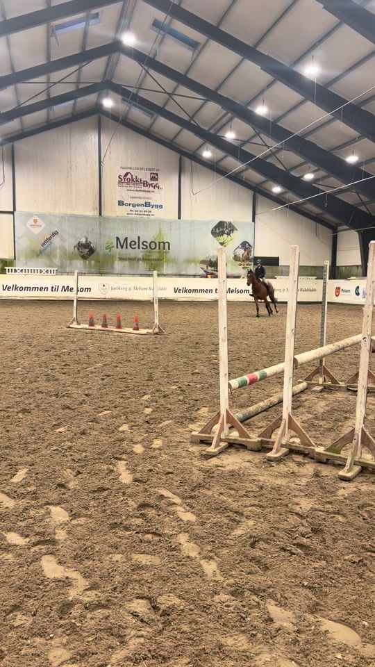 TikTok video thumbnail by hedda.equi