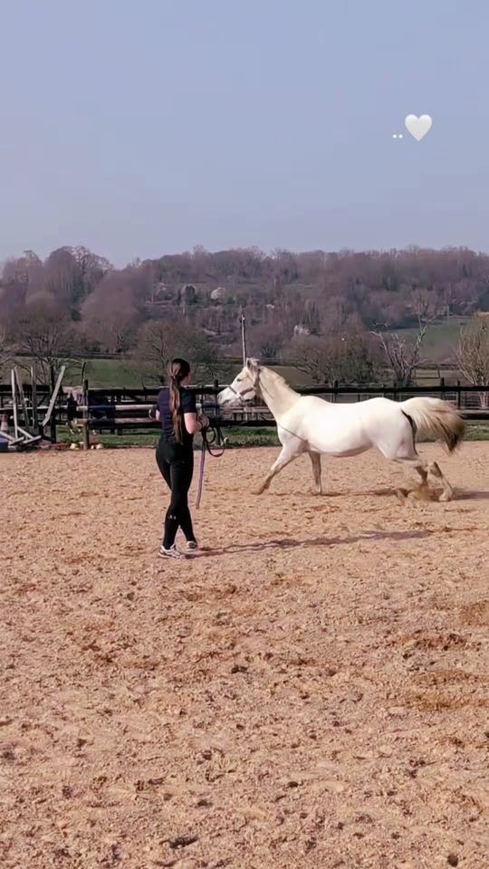 TikTok video thumbnail by al.hamira.equi