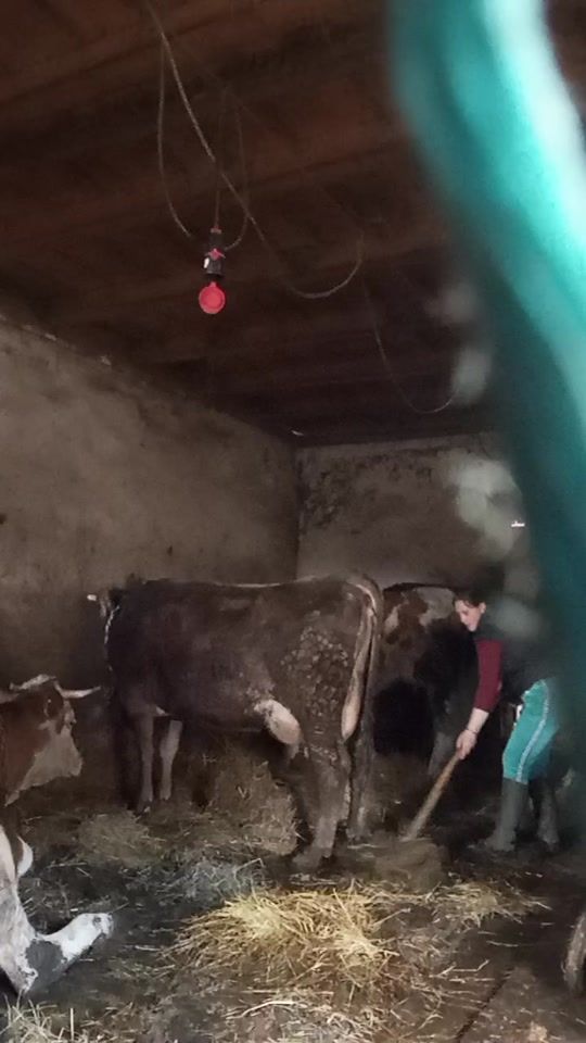 TikTok video thumbnail by buradenisa3