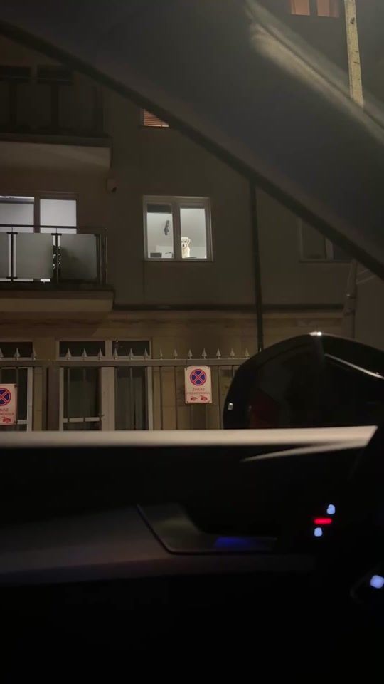 TikTok video thumbnail by mazepa420