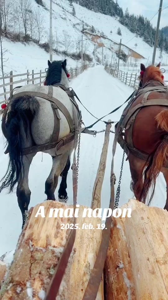 TikTok video thumbnail by szabykamolnar