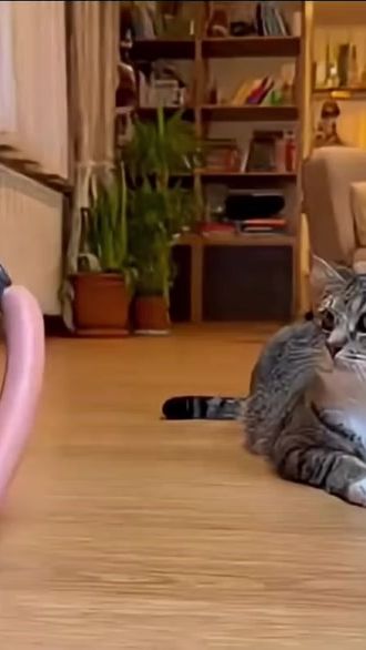 TikTok video thumbnail by xana3282