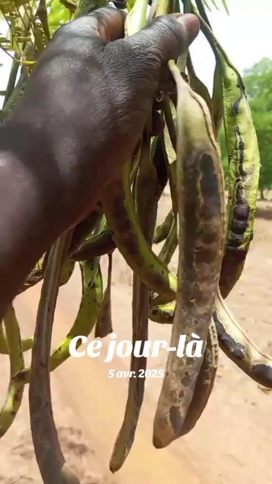 TikTok video thumbnail by yacoudabre13