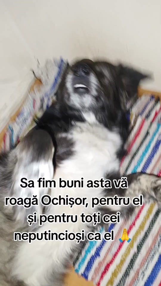 TikTok video thumbnail by suflete.pure