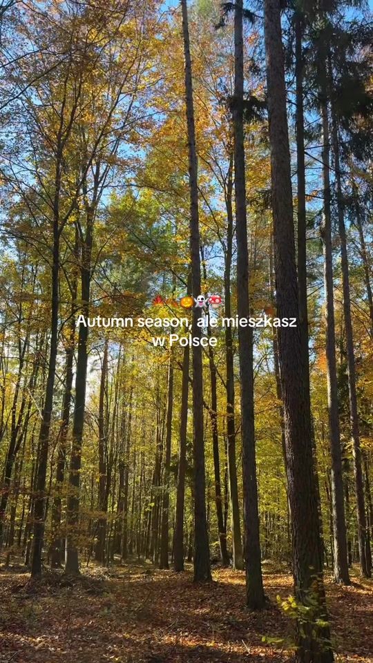 TikTok video thumbnail by iamjustvicky