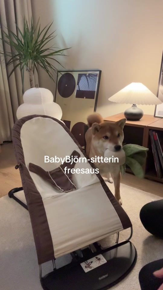 TikTok video thumbnail by emmakls0