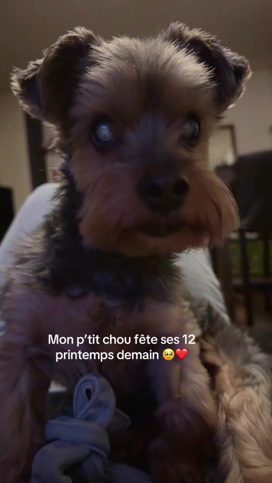 TikTok video thumbnail by mariiiia_bbw1
