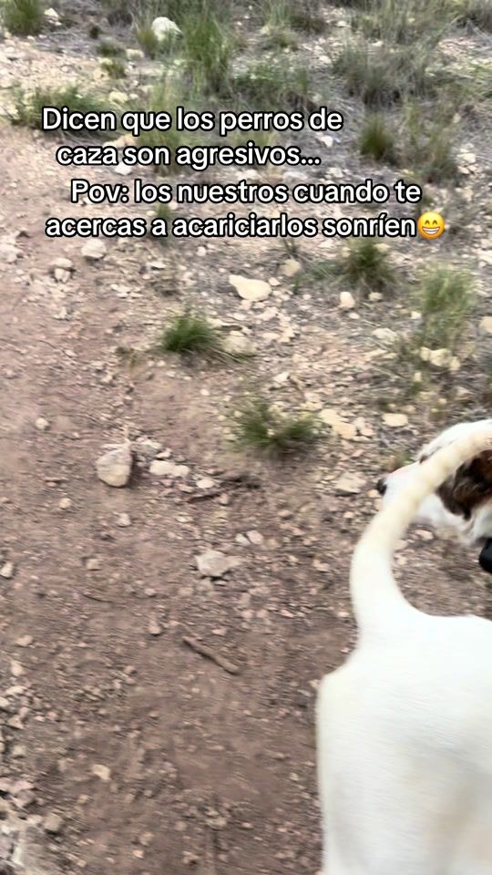 TikTok video thumbnail by noeelia.05_